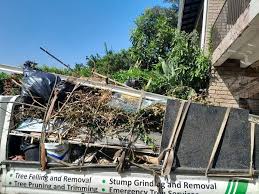 Best Property Management Cleanouts  in Jasper, AL